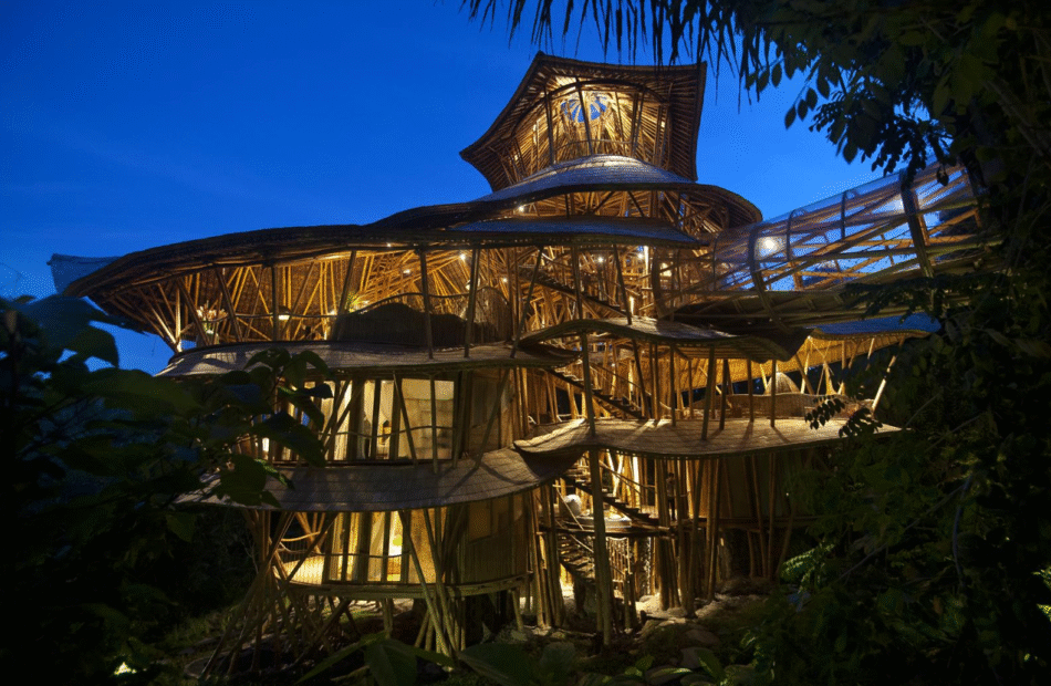 Why private home builders and investors choose bamboo homes